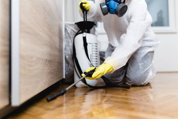 Best Wildlife Control Services  in Ashaway, RI