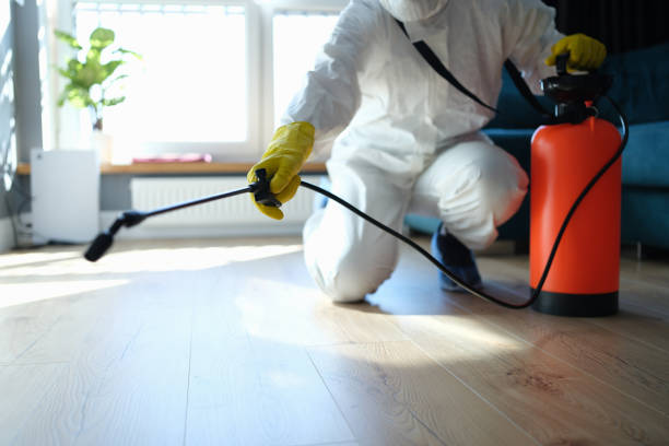 Best Affordable Pest Control Services  in Ashaway, RI