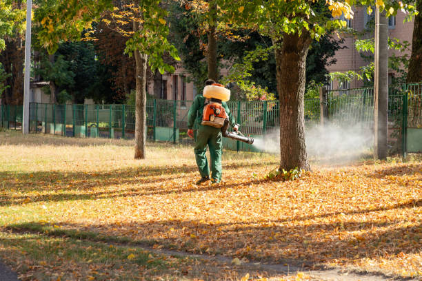 Best Spider Control Near Me  in Ashaway, RI
