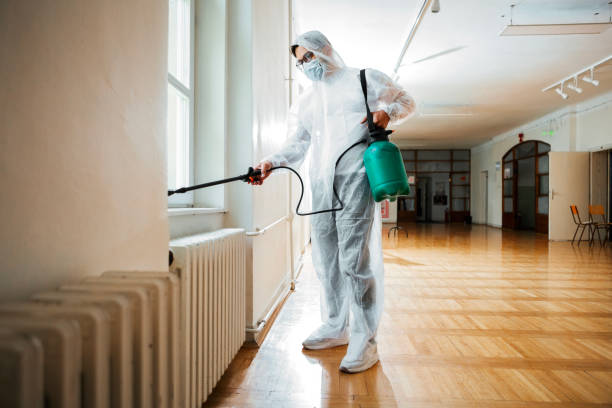 Best Termite Control Services  in Ashaway, RI