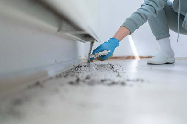Best Residential Pest Control  in Ashaway, RI